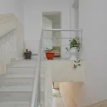 Suveranii 3* Braşov