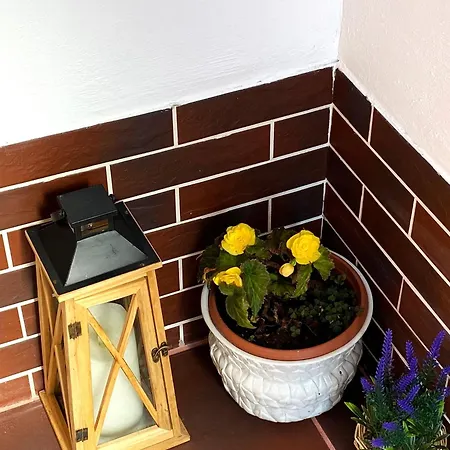 Suveranii Brasov
