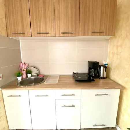 Pensjonat Suveranii Braszów