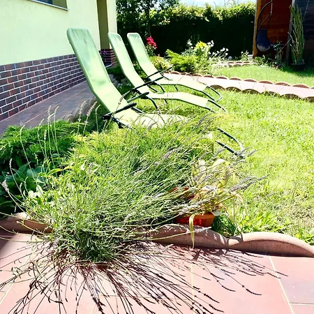 Pensjonat Suveranii Braszów