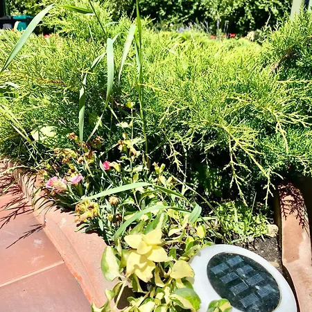 Suveranii 3* Брашов