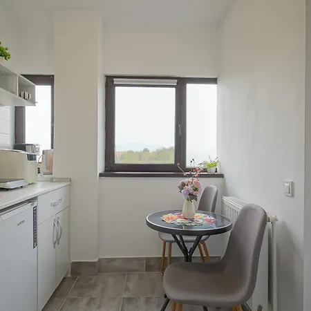 Pensjonat Suveranii Braszów