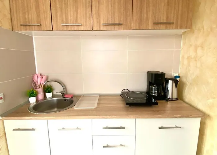 Guest house Suveranii Brasov