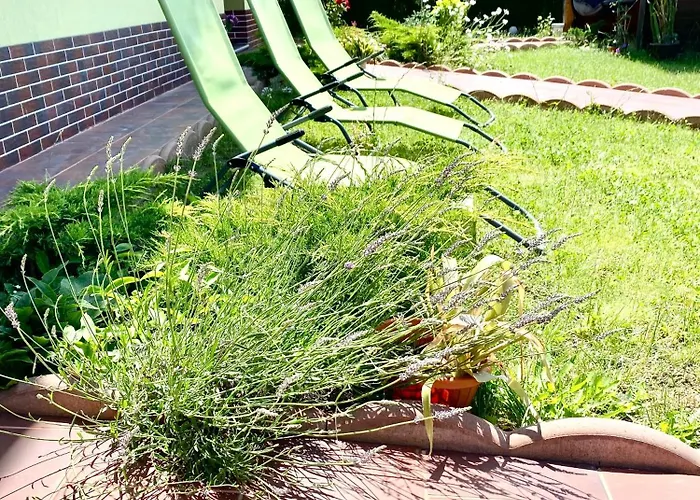 Pensiune Suveranii Brașov