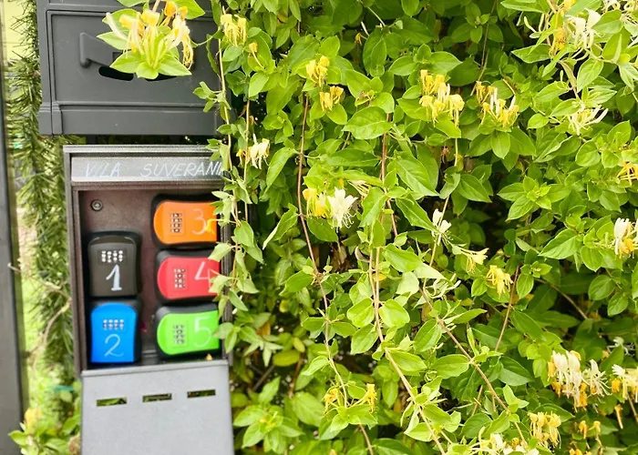 Guest house Suveranii