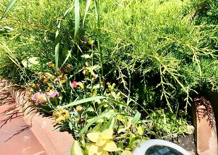 Suveranii 3* Brașov