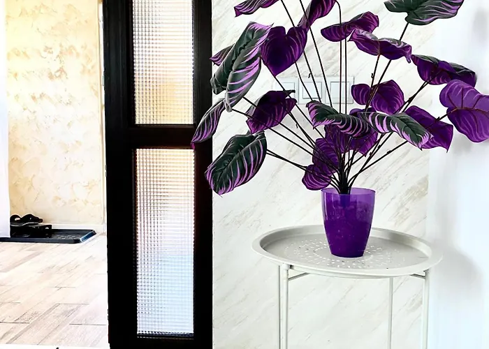 Suveranii Guest house 3*