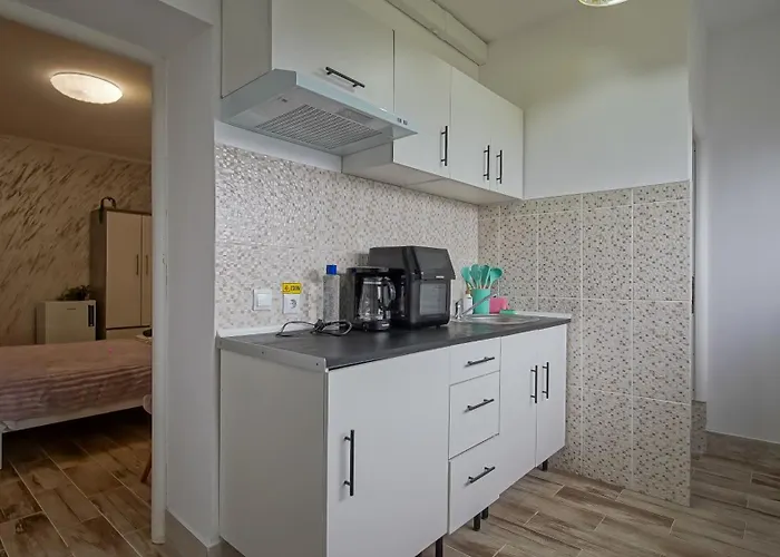 Suveranii Guest house