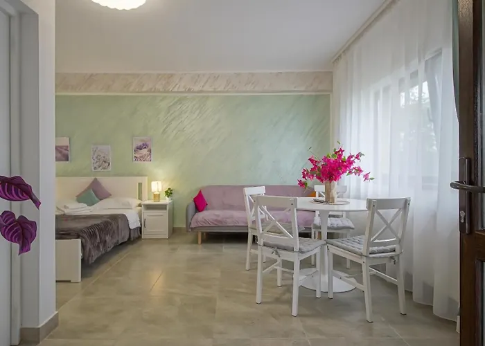 Suveranii Guest house 3*