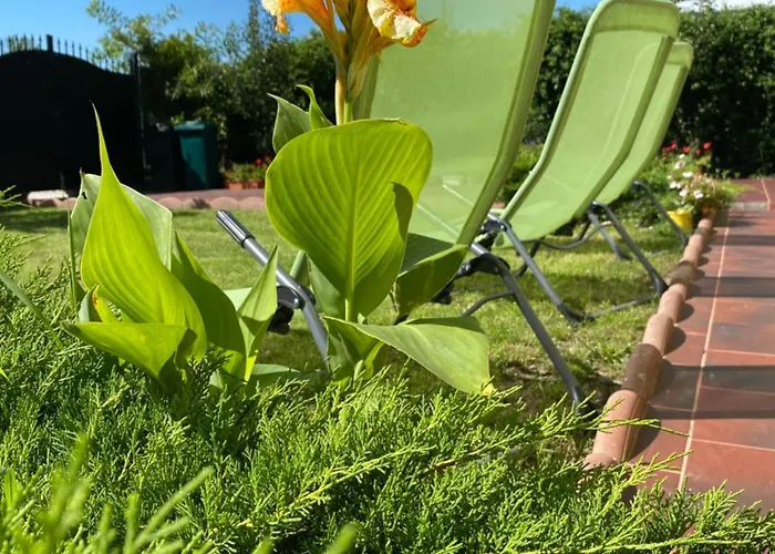 Guest house Suveranii