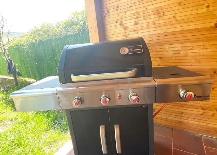 Guest house Suveranii Brasov