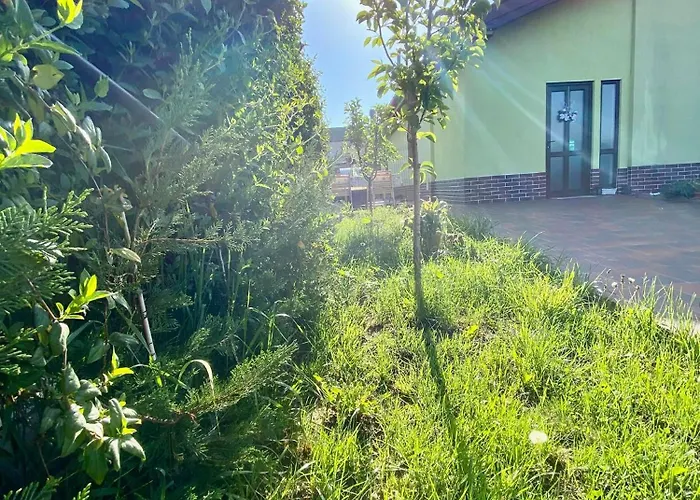 Guest house Suveranii 3*