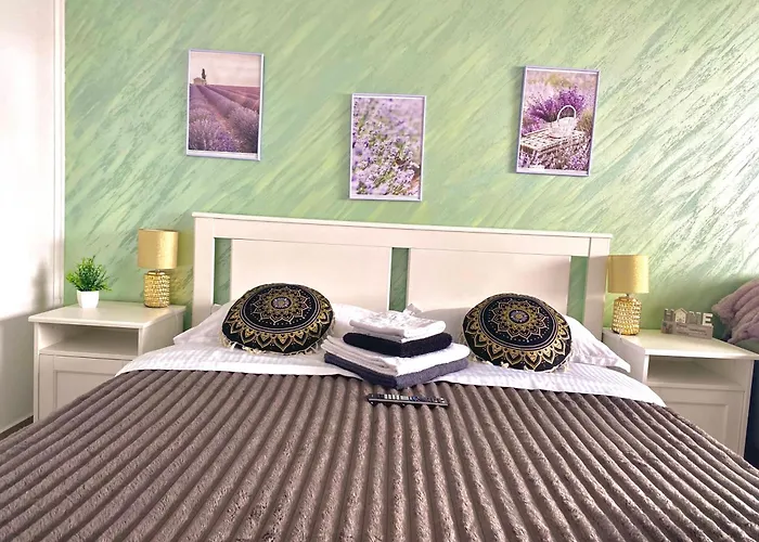 Suveranii Guest house 3*